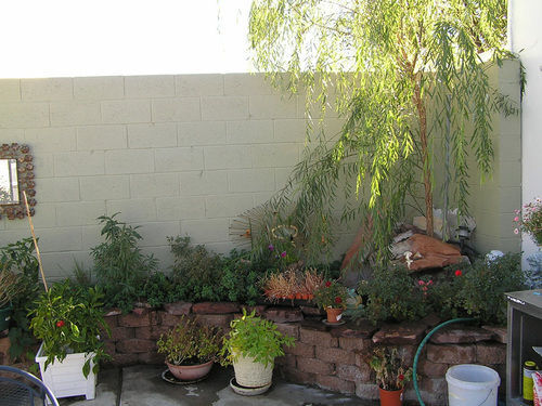 Hiway House Motel Albuquerque Zewnętrze zdjęcie