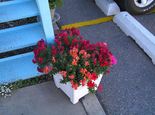 Hiway House Motel Albuquerque Zewnętrze zdjęcie